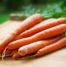 Carrots and prostate cancer