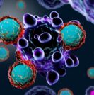 Immunotherapy for prostate cancer