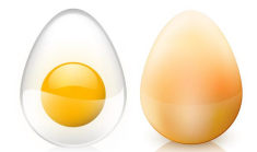 Egg and egg yolk