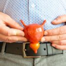 Man holding model of prostate